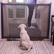 [ 애견울타리 애견안전문 강아지펜스 ]_PN_강아지 가출 방지 가드 펜스 간편한 메쉬 안전망 설치_dlrhd_K/W:생활/건강_종합