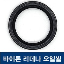 에스케이종합상사 바이톤 리데나 115-140-14 (115X140X14) 오일씰 TC