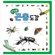 신기한 곤충 도감(양장)