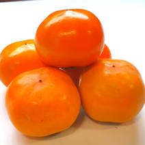 초달달촉촉 청도 반시 씨없는 홍시 가성비 좋은 가정용 판매중, 1박스, 5kg(청도반시/65과 내)
