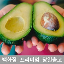 [특등급선별] 아보카도 3kg 과일 아보카도요리 아보카도오일 아보카도효능 아보카도먹는법 제철과일 새벽배송 겨울과일 열대과일 아보카도오일효능 아보카도유 아보카드 아보카도오일먹는법