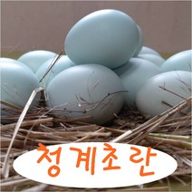 [청미래농장] 동물복지유정란 40구 (난각번호1번 haccp인증 동물복지인증 방사유정란 자연양계)