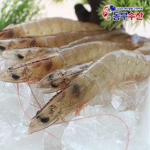 동부수산 2kg 흰다리새우 새우장용 에콰도르산, 1개, 1.흰다리새우 101~120마리 2kg