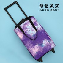 접이식 쇼핑백 휠 장보기 카트, 기타개, 스타 (이중보온+끈 잠금형)