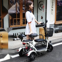 삼륜 전기오토바이 여성용 전동 스쿠터 성인 3인용 세발 전기자전거 바이크 화이트, 07.듀얼 600W 15A 40km