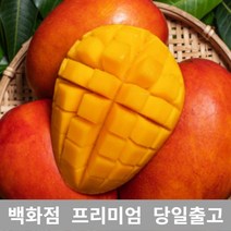 애플망고 5kg 애플망고 쥬스 대용량 과일 열대 망고, 1, 본상품선택