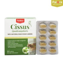 파이오라 시서스 추출물 1000mg 90정, 1통에 90정, 1개, 상세참조