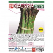 (아시아종묘/아스파라거스종자씨앗) 탐라웰컴 아스파라거스(800립)