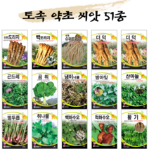 [농사마트] 토속 약초 씨앗 모음 슈퍼 도라지 냉이 고들빼기 곰취 곰보 더덕 두릅 산마늘 취나물 당귀 곤드레 감초 재래종 산나물 종자, 34. 미쯔바참나물 10g