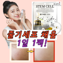 특허 스템셀 줄기세포 마스크/1일1팩 모공 굵은주름 피부탄력 리프팅, 4)25+5장