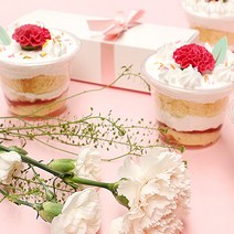 [렛츠베이킹] 카네이션 컵케이크 만들기세트 (10개분량), 포장용품 포함 만들기세트, 10개