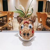 돼지 토피어리재료 미니화분 체험학습 공기정화, 꼬꼬댁