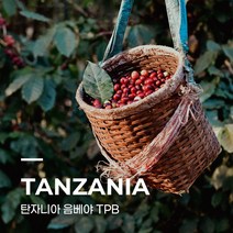 [커피생두] 탄자니아 음베야 TPB 10kg