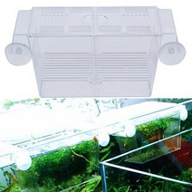 아크릴 어항 수조 투명 수족관 어항 이중 사육 상자 부화장 물고기 및 수생 애완 동물 용품