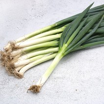 빛고을장터 국내산 싱싱한 대파 10kg 5kg 3kg 2kg 1kg내외, 2kg (특), 1개