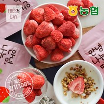 [프레시데이] [농협] 생딸기그대로 동결건조 딸기칩 나는딸기얌 12봉 (12g/봉), 상세 설명 참조