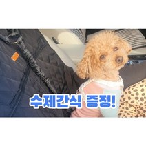 강아지 안전벨트 차량용 반려견 목줄 애견 충격흡수 리드줄, 클립형, 그레이