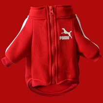 강아지 트레이닝복 포미 초소형견 소형견 중형견 대형견 츄리닝, 레드