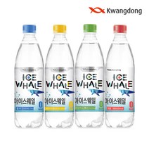 정기 구독 아이스웨일 탄산수 500ml 20입 향 4종 택1, 3. 아이스웨일 500ml 20입-샤인