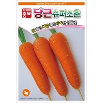 아시아종묘 당근씨앗종자 슈퍼소촌(3g)