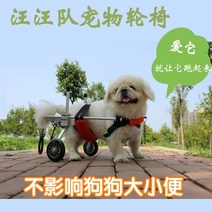 강아지 유모차 휠체어 대형견 중형견 소형견 유모차 웰시코기 냥모차 강아지 웨건 견모차 트레일러 자동차 고양이 뒷다리 장애 마비 재활 훈련 자동차 척추 지원 스쿠터, 빨간 xxs 고양이 치와와 포메라니안