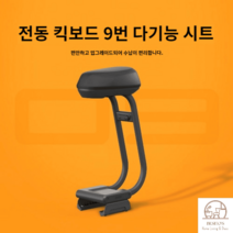 전동킥보드 나인봇 9호 F20 F30 의자 안장 시트 겸 수납 가방 쿠션, F20,F25,fF30,F40,D18W베이스[시트만]