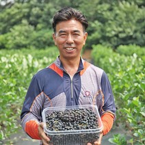 아로니아 꼭지제거 2022년 아로니아생과 블랙쵸크베리, 1box, 2.5kg