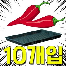 niche ha 건조기에서 열변형이 없는 고추 건조용 채반 10개입 W6D 04 Shim EkEmtgks qhadl dhrh dlTdjdy