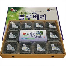 선물용 햇 블루베리 1kg (특) 충북영동 산지직송, 단품