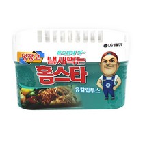 PG LG 냄새먹는 홈스타 냉장고 강력 탈취제 참숯 베이킹소다 방향제 420g, LG 냄새먹는홈스타 냉장고유칼립투스 420g