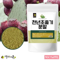 백년초 분말 500g 천년초 줄기 가루 손바닥선인장 홈쇼핑