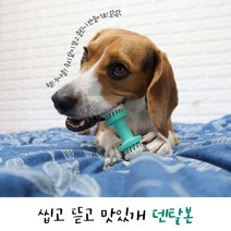 반려동물 강아지 덴탈본 펫 장난감 잇몸질환 치석 감소 구취 입냄새 제거, 댕댕이 덴탈본 5개
