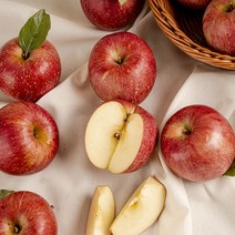 DMZ 청정 못난이 부사사과 2kg 5kg, 5kg 미니미니, 1개