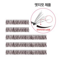 로이엘 부분속눈썹 10줄 속눈썹_0.06_5P_다크브라운_엣지 투명줄, 1개, 12호