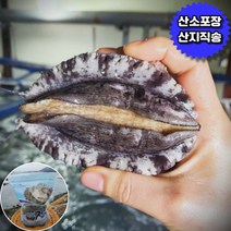 완도산 활전복 1kg 생물 수산 보양식 산지직송 신선배송 당일 발송, 15미 1kg
