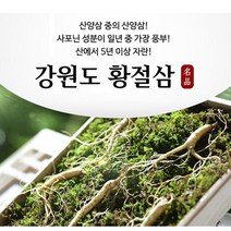 가격파괴 강원도 명품 황절삼 5년근이상 10뿌리 20뿌리 산양삼 장뇌삼 인삼