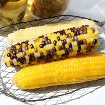 기장찰옥수수 무첨가 30개 중국농촌배배 찐 삶은 냉동 찰 옥수수 5종, 미백찰 25개
