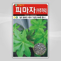 슬로시 채소 씨앗 산채 씨 종자, 피마자50립(아람)