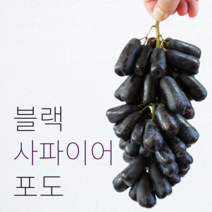 블랙 사파이어 포도 1kg 2kg 3kg 씨없는 포도 가지포도 마녀포도 수입산, 2kg (실중량 1800g), 1개