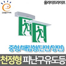 올라이트라이프 LED중형 매립 천정형 피난구 유도등 고효율, 양면 피난구 한방향
