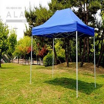 DTE928304X 3m 아라나 캐노피천막 2m, 블루