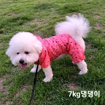 밀리밤 뉴코아덕천점 22여름신상 mlac22a51 강아지 우비슈트