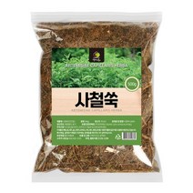 인진쑥 사철쑥 차 500g 인진호 약쑥 쑥차 만들기, 5개