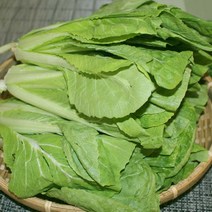 얼갈이배추4kg 2박스 묶음 자연대로팜웨이, 얼갈이4kg 2박스