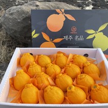 당일수확 산지직송 제주농장 한라봉 3KG 5KG 10KG, 중과3KG가정용(9~12과)