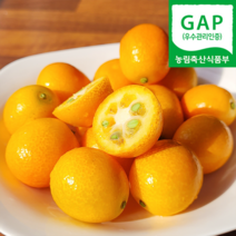 (자연마을) 제주 GAP 고당도 하우스 금귤 낑깡 1kg, 1박스