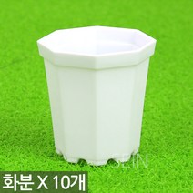 다육이화분 민트 X 10개 - 인테리어 플라스틱 미니 화분 어린이 식목일 행사 어린이집 유치원 플분 다육 선인장 식물 모종 삽목 홈 가드닝