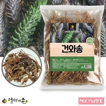 국산 말린 와송 100g 김천 건와송 자연산 건조 생와송 차 탕 홈쇼핑 실속형
