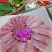 전라도 흑산도홍어 국내산홍어 목포홍어 국산홍어 흑산홍어 500g 1kg 1.5kg 생홍어 삭힌홍어 안삭힌홍어(1k이상주문시 홍어애또는묵증정)홍어코 초장서비스, 중숙성, 흑산홍어1k