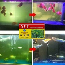 수조 어항 청소 용품 꾸미기 열대어 에코 수족관 정화 분말 정수기 연못 청소 도구에 대한 자연 물 안전 효